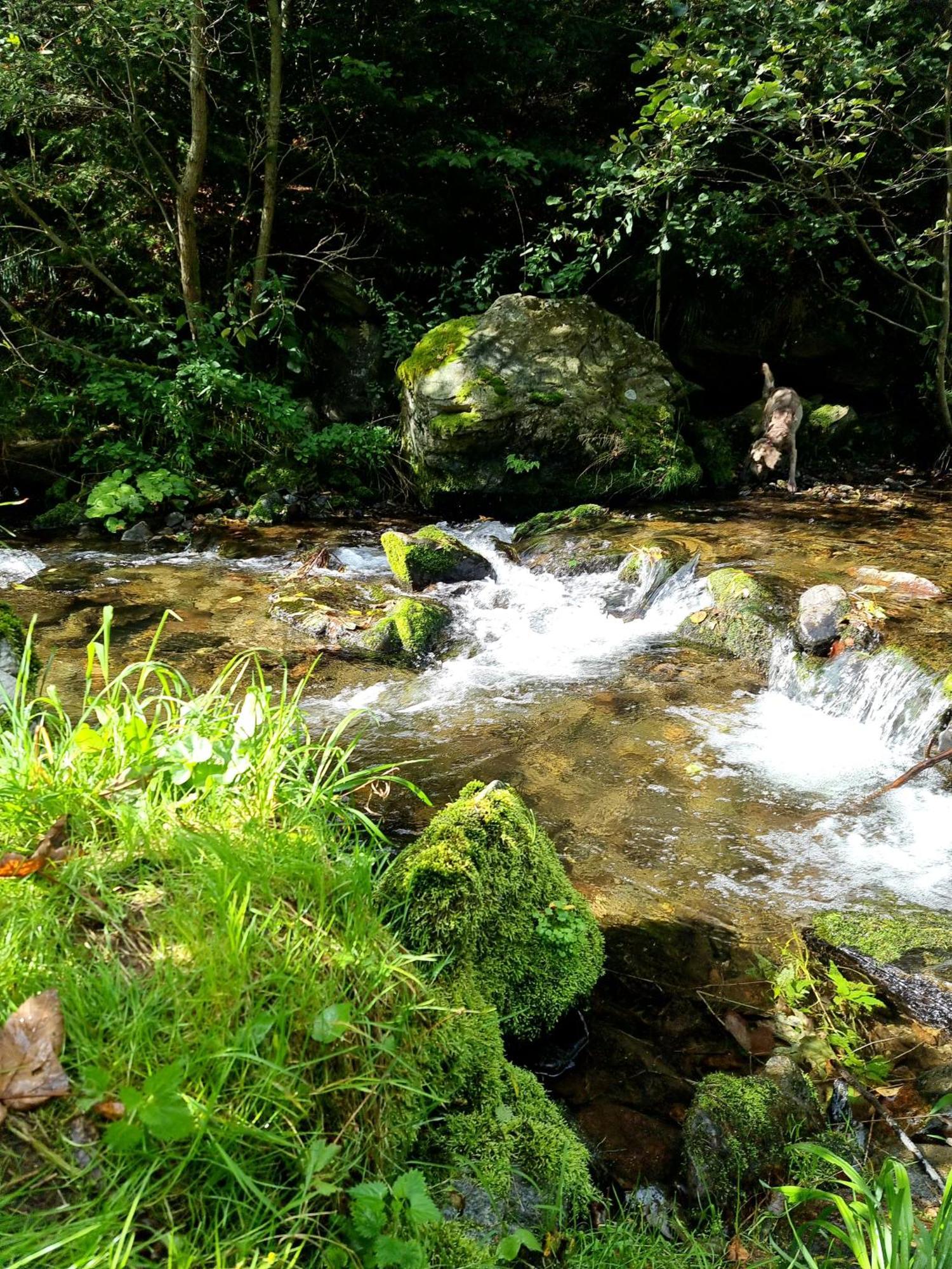 Roubenka Mlyn U Skaly Destne V Orlickych Horach Volne Terminy 5 Bytu Luaran gambar