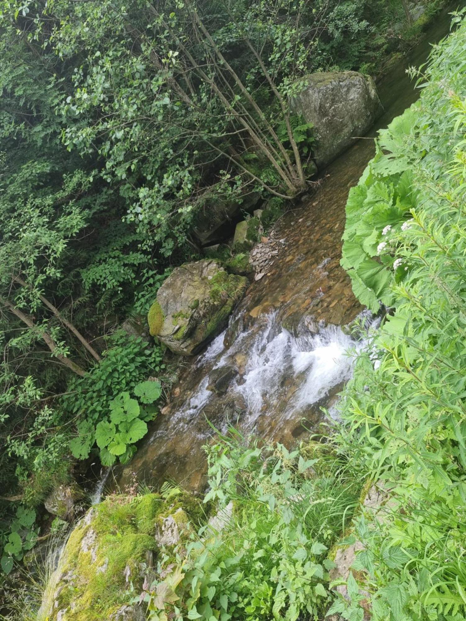 Roubenka Mlyn U Skaly Destne V Orlickych Horach Volne Terminy 5 Bytu Luaran gambar