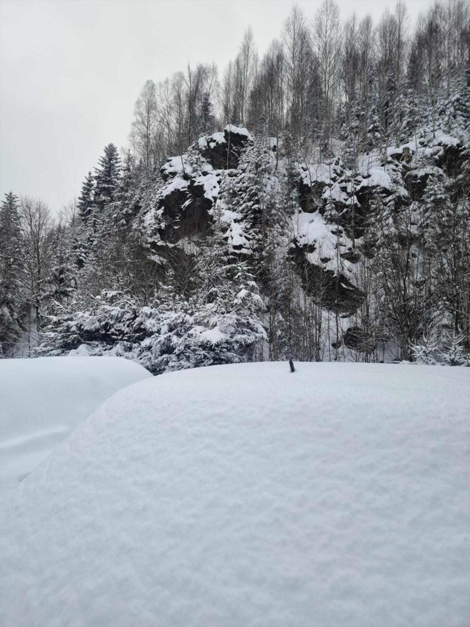 Roubenka Mlyn U Skaly Destne V Orlickych Horach Volne Terminy 5 Bytu Luaran gambar